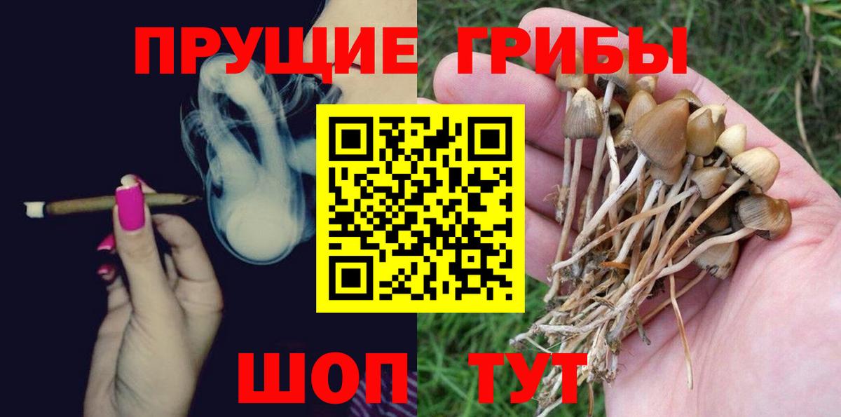 Краснокаменск  Галлюциногенные грибы Magic Shrooms  Вход с VPN  Галлюциногенные грибы Psilocybine cubensis 